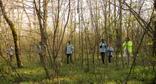 Il Mistero della Scomparsa di Pietro a Ventimiglia